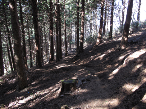 20180116hike (115)